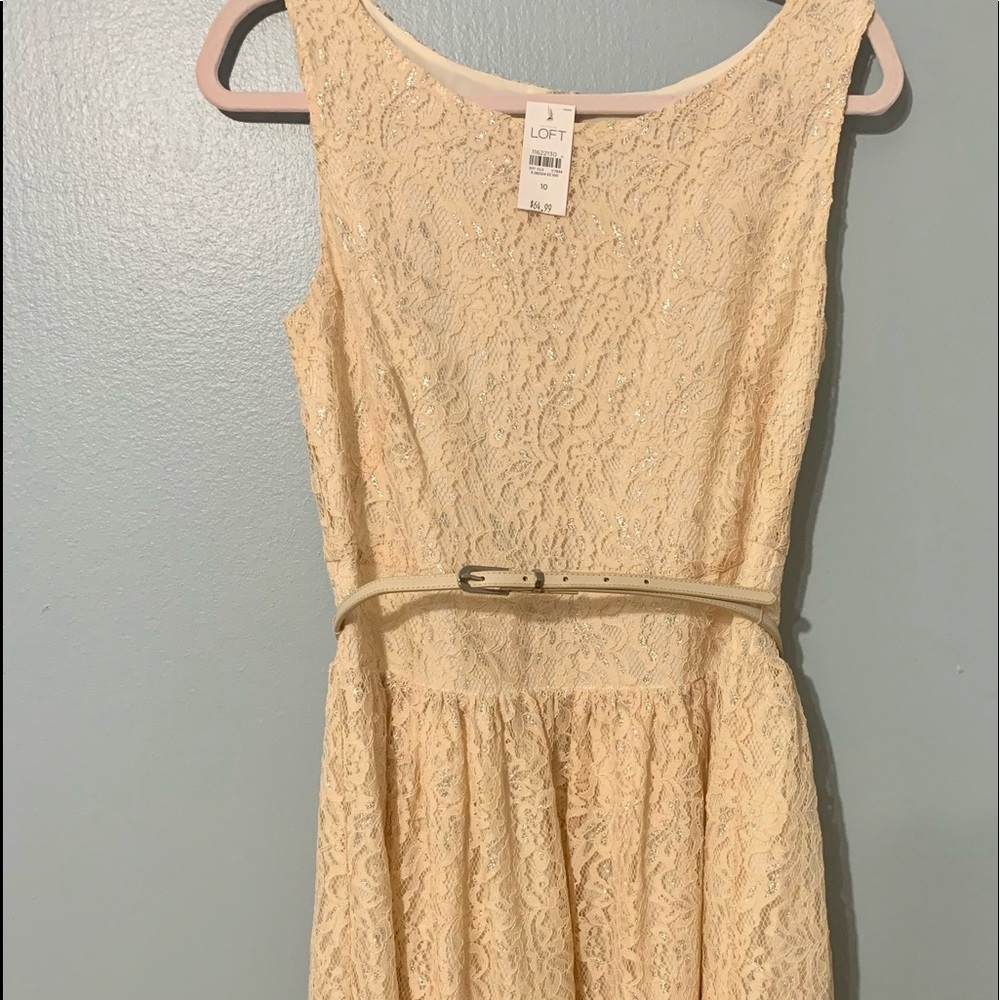 Cute loft dress